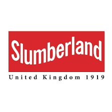 Franchise Opportunities in [location]