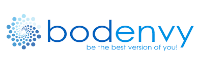Bodenvy