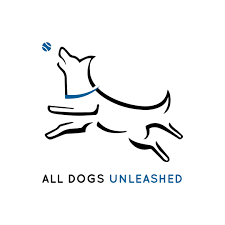 Franchise Opportunities in [location]